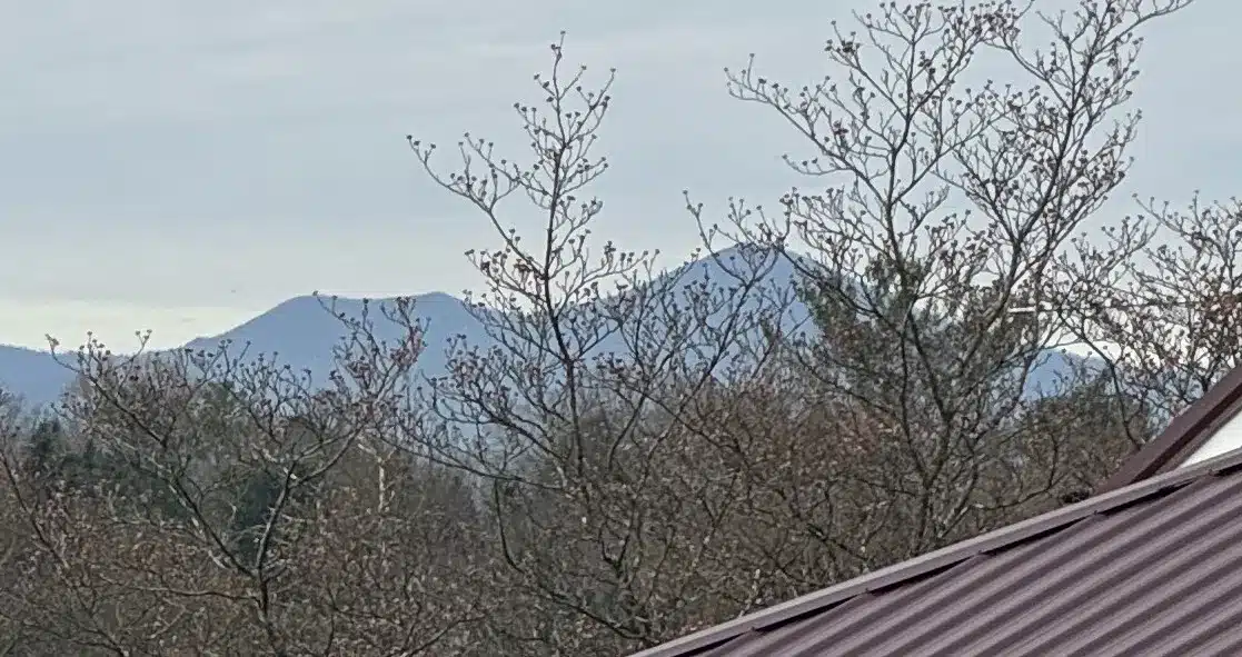 View of Mount Pisgah from an Asheville office porch with metal roof in foreground and Blue Ridge Mountains beyond